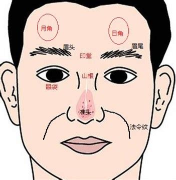 額頭起角|面相解讀——額頭日月角